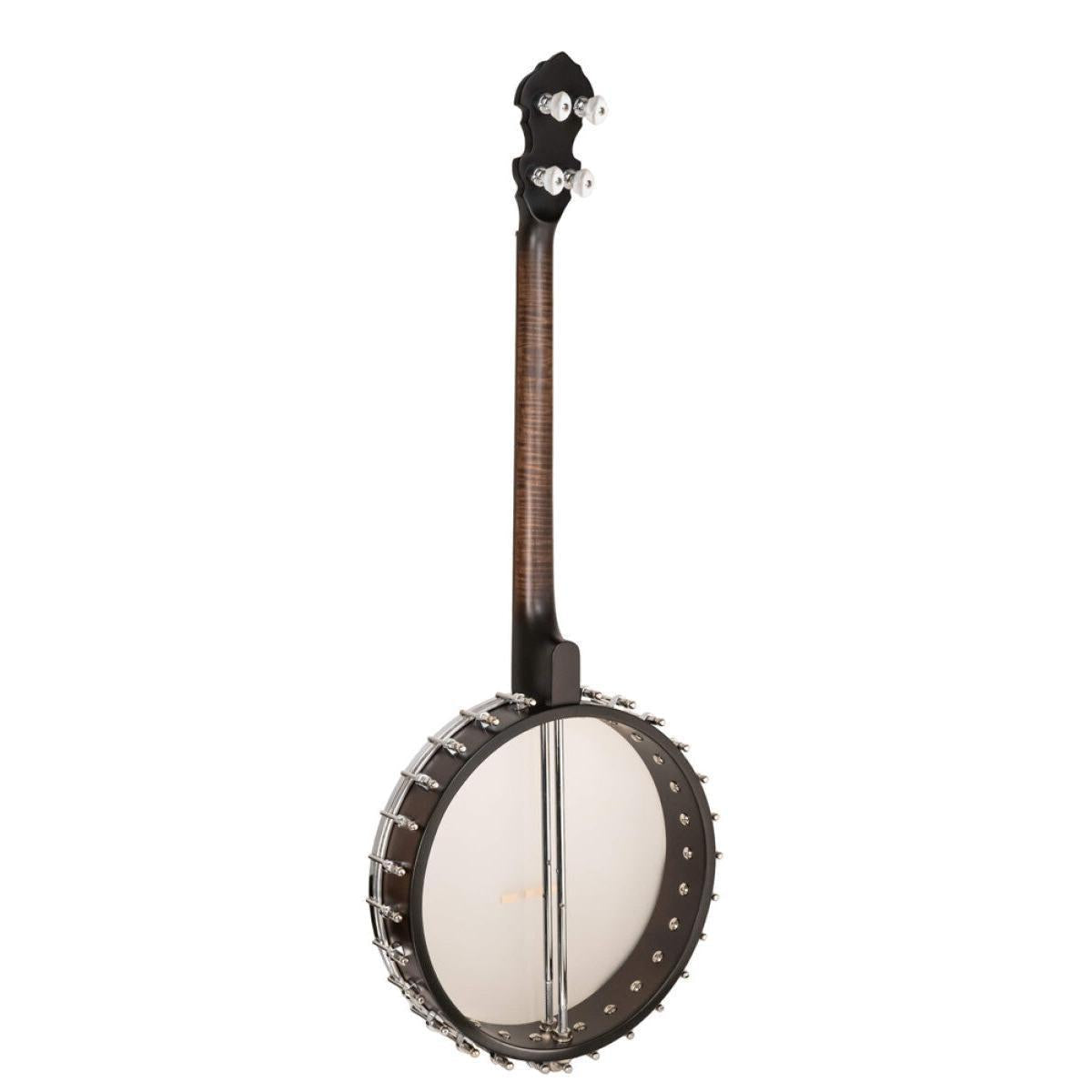 Gold Tone IT-19 Irish tenor banjo med 19 bånd og taske