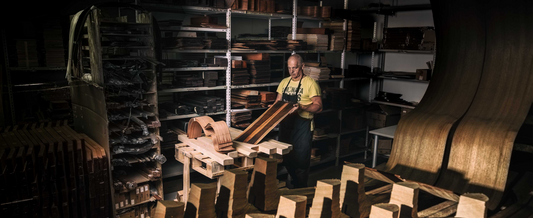 Dowina - Guitarer med sjæl