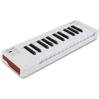 Arturia Microlab Mk3 - USB/Midi Controller keyboard