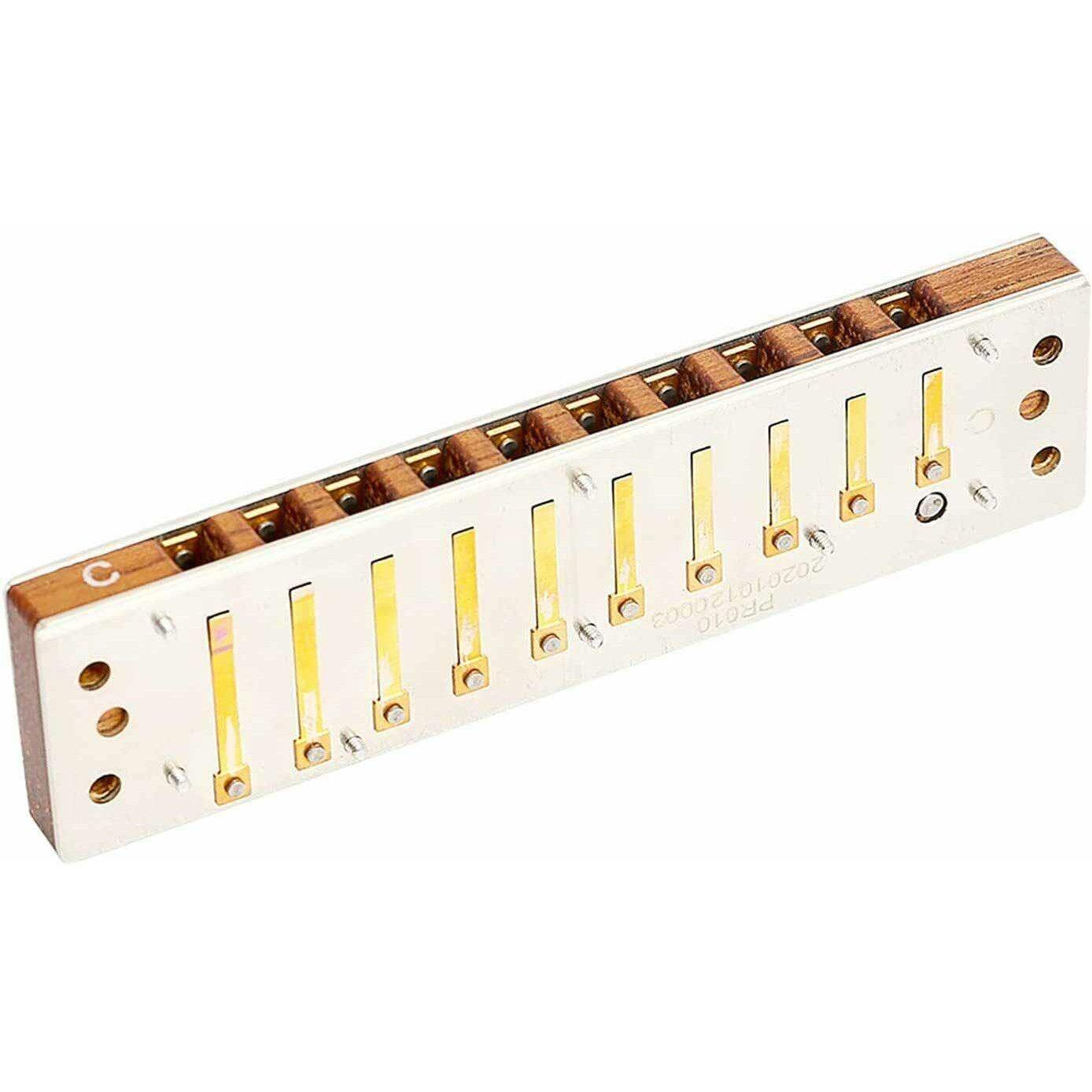 Easttop PRO10 Blues Professional Harp - Tone: C