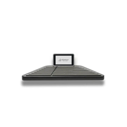eSantoor