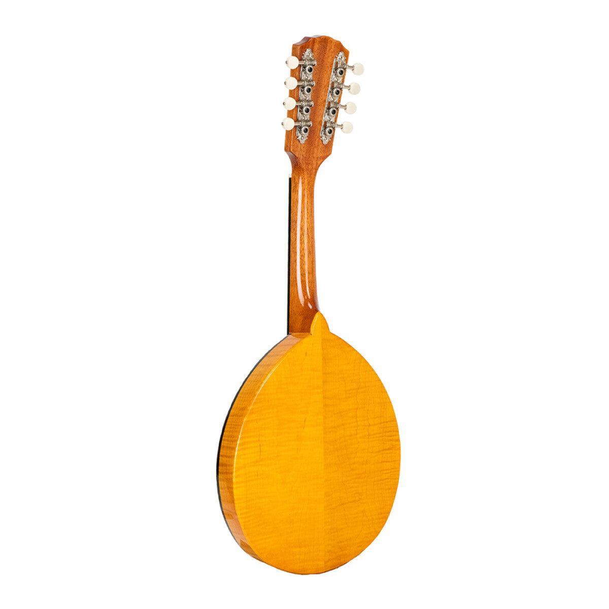 GOLD TONE GM-10 Frypan-style mandolin – solid construction | Incl. case 