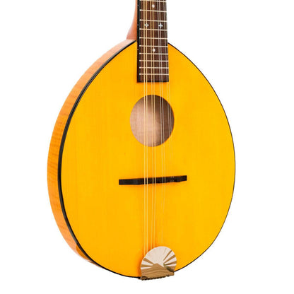 GOLD TONE GM-10 Frypan-style mandolin – solid construction | Incl. case 