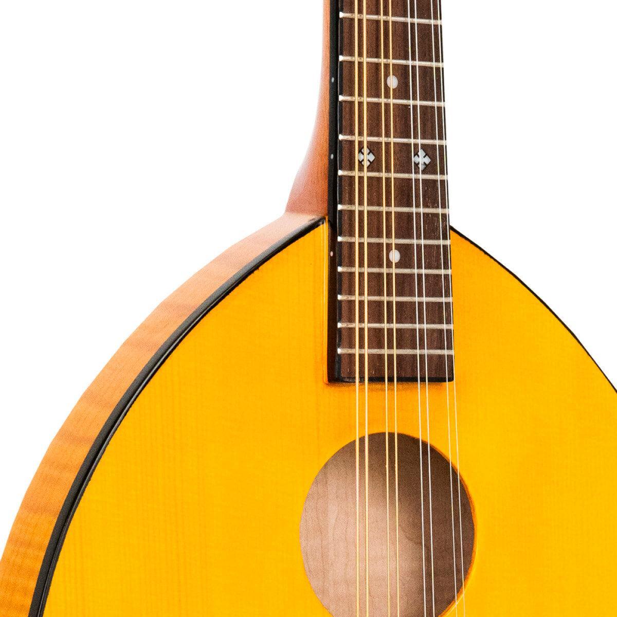 GOLD TONE GM-10 Frypan-style mandolin – solid construction | Incl. case 