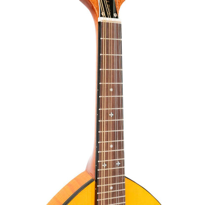 GOLD TONE GM-10 Frypan-style mandolin – solid construction | Incl. case 