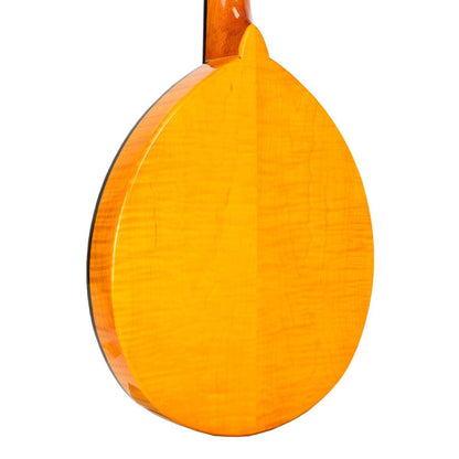 GOLD TONE GM-10 Frypan-style mandolin – solid construction | Incl. case 