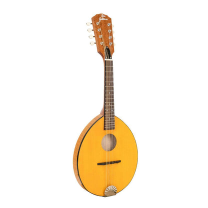 GOLD TONE GM-10 Frypan-style mandolin – solid construction | Incl. case 