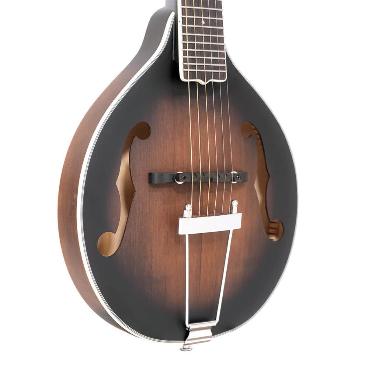 Gold Tone A-6 Guitar mandolin with A-style body and back