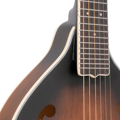 Gold Tone A-6 Guitar mandolin with A-style body and back