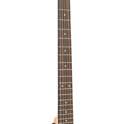 Gold Tone AC-6+ Banjitar with pickup and bag 