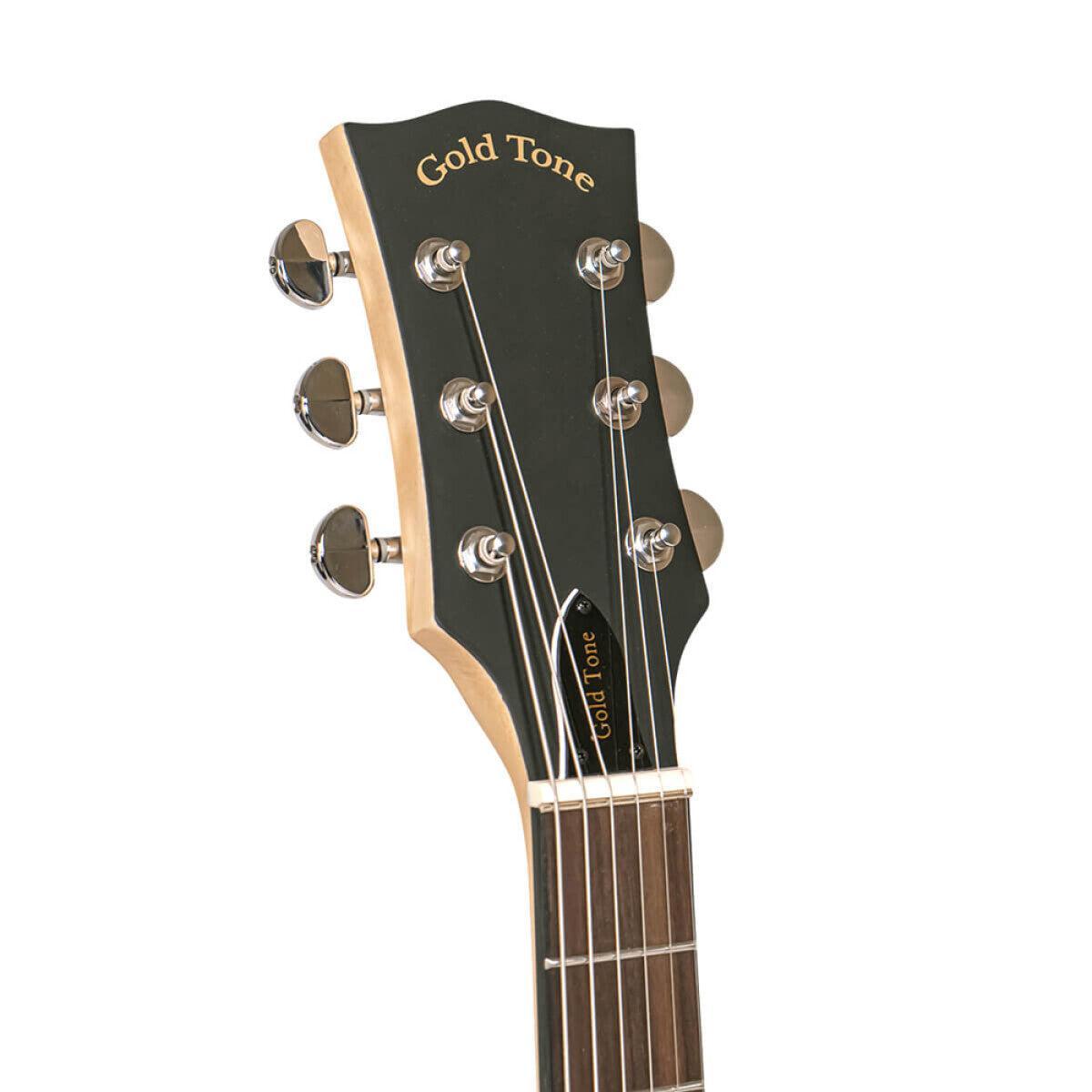 Gold Tone AC-6+ Banjitar with pickup and bag 