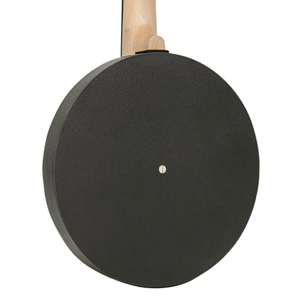 Gold Tone AC-6+ Banjitar with pickup and bag 