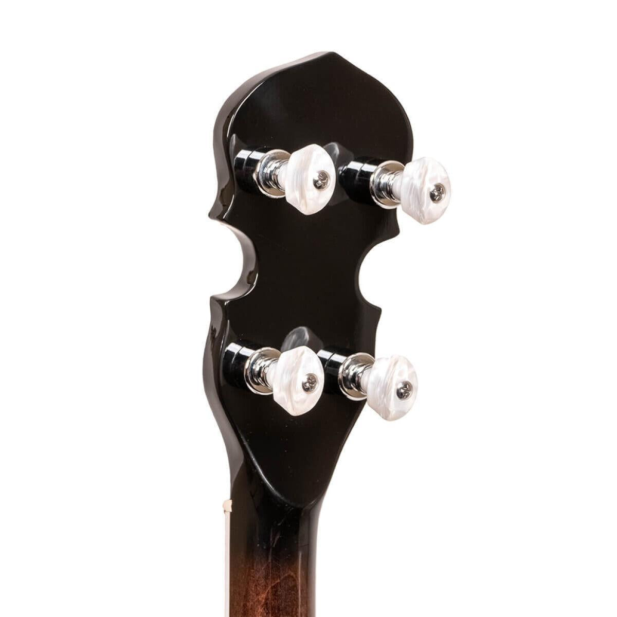 Gold Tone BG-150F 5-strengs Bluegrass banjo med flange og taske