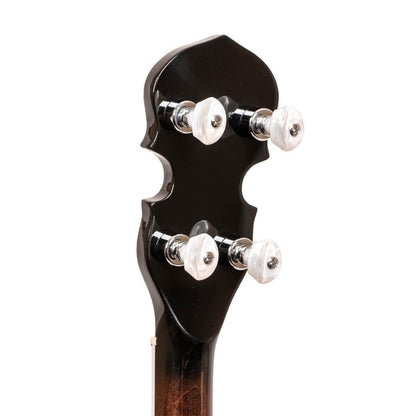 Gold Tone BG-150F 5-strengs Bluegrass banjo med flange og taske