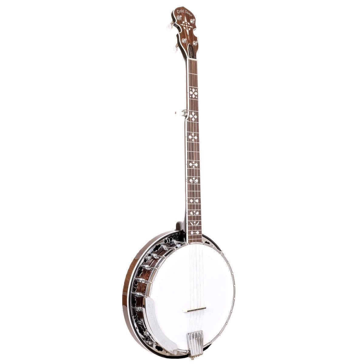 Gold Tone BG-150F 5-strengs Bluegrass banjo med flange og taske