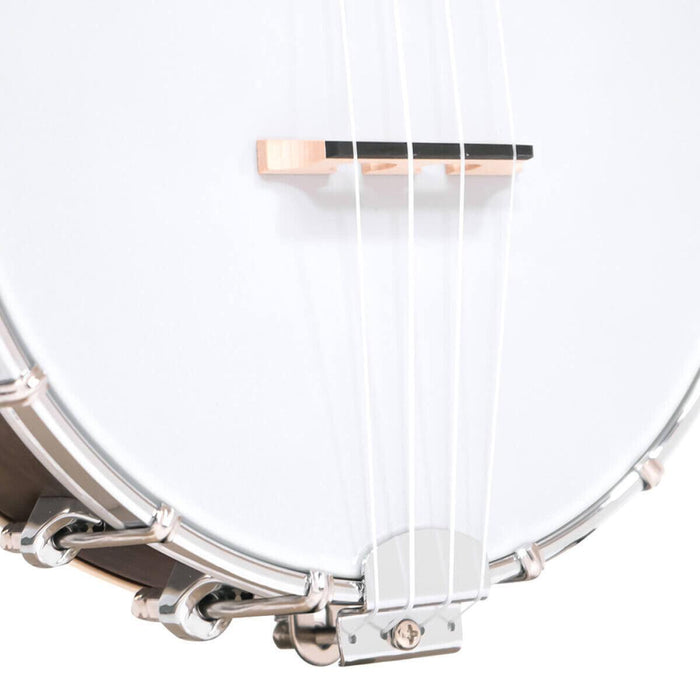 Gold Tone BUT 4-string tenor banjo-ukulele with case