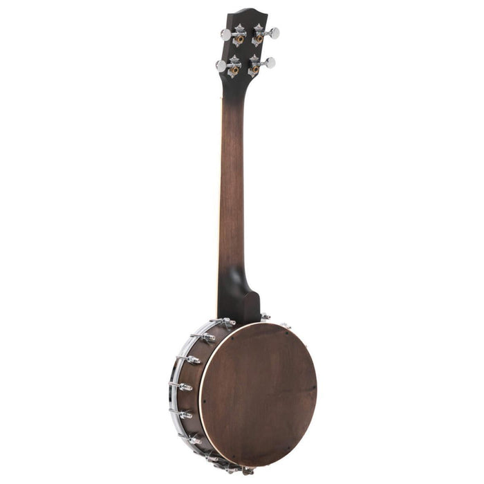 Gold Tone BUT 4-string tenor banjo-ukulele with case
