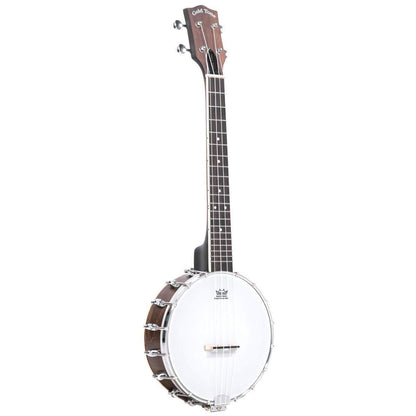 Gold Tone BUT 4-string tenor banjo-ukulele with case