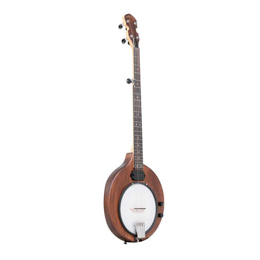 Gold Tone EB-5 5-string electric banjo with bag