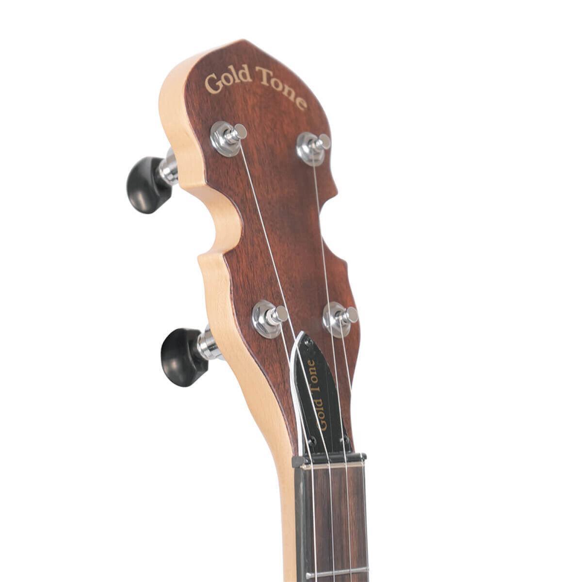 Gold Tone EB-5 5-string electric banjo with bag