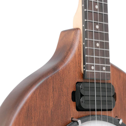 Gold Tone EB-5 5-string electric banjo with bag