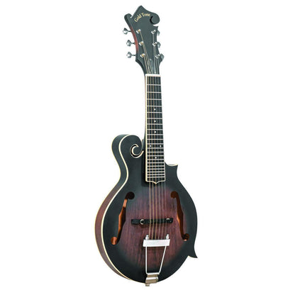 Gold Tone F-6 6-string Guitar Mandolin with F-style Body, Pickup and Hard Case 