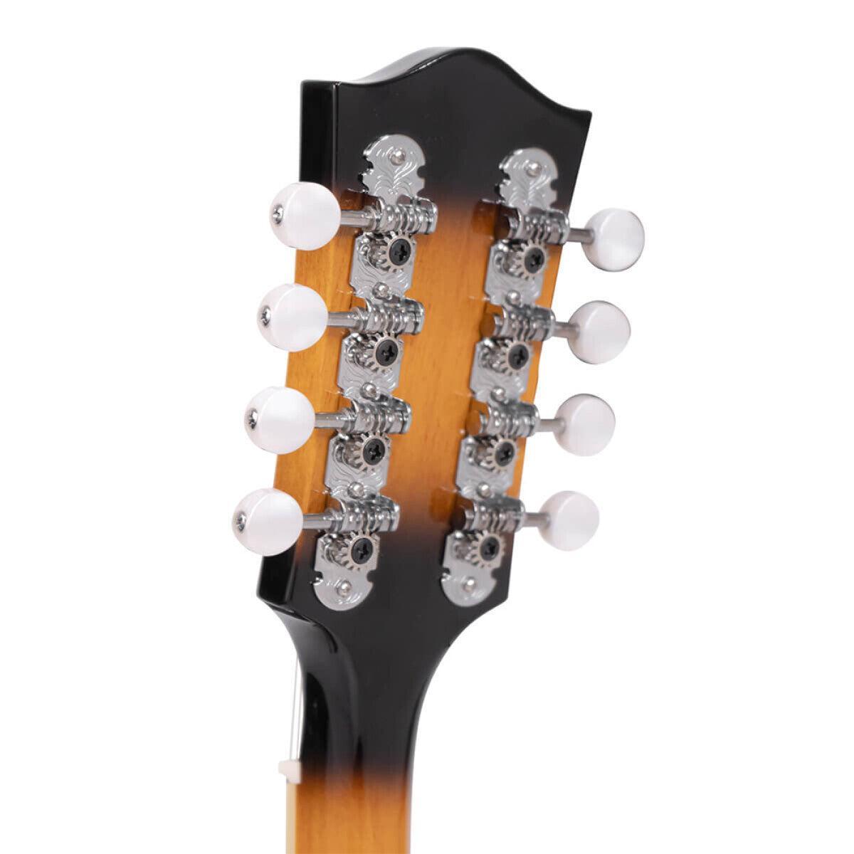 Gold Tone GM-50+ A-style mandolin with pickup and bag included