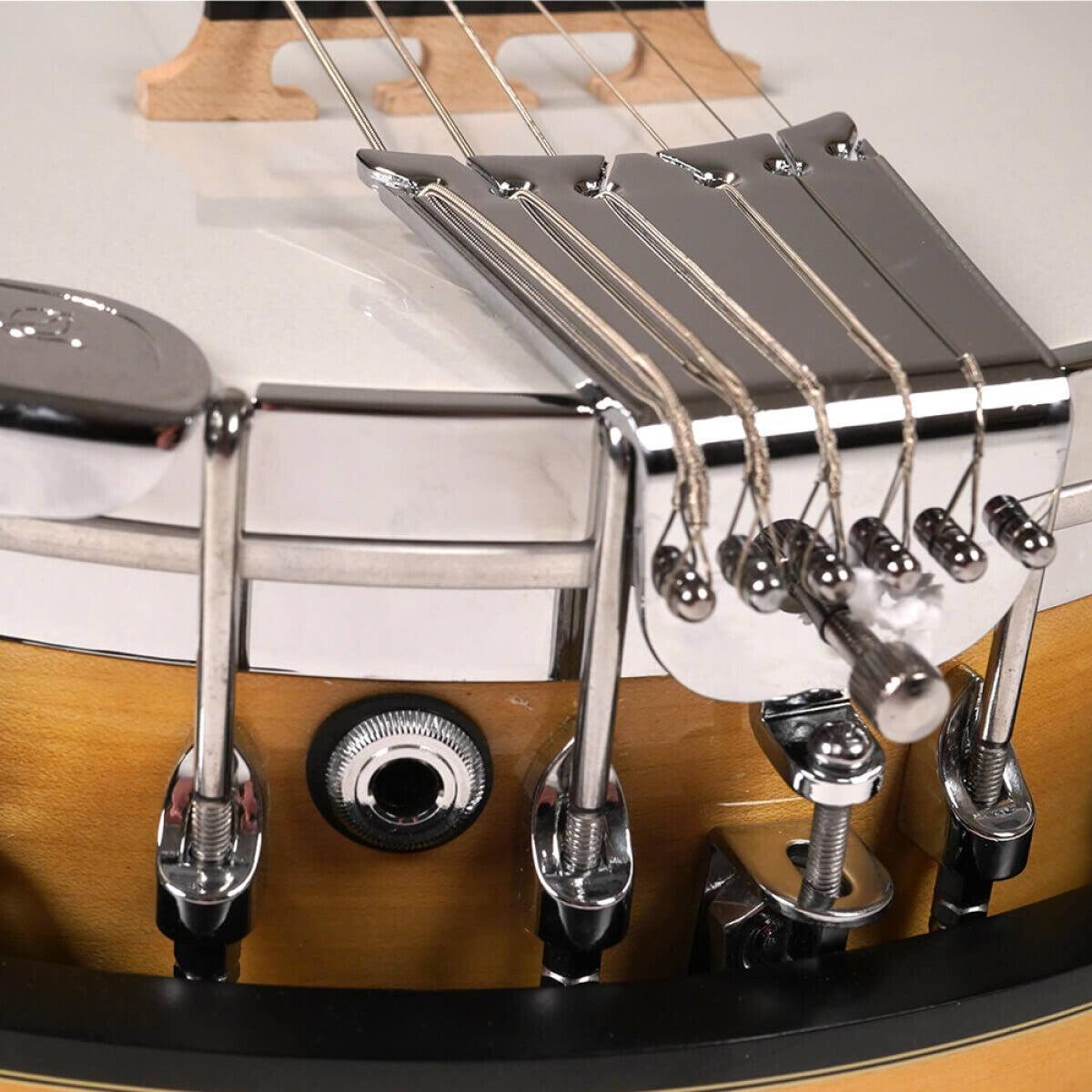 Gold Tone GT-500 Gold Tone Deluxe Banjitar, 6-string guitar neck with banjo body 