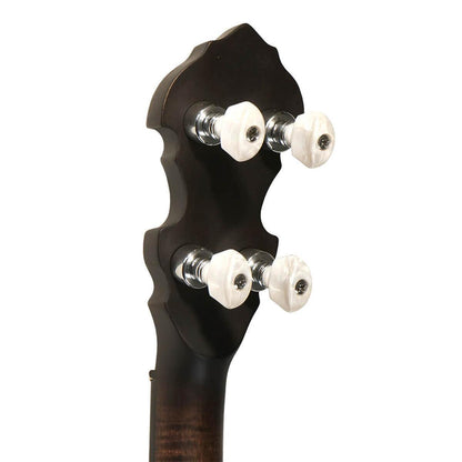 Gold Tone IT-17 Irish tenor banjo with 12" pot and bag included 