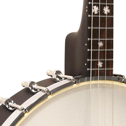 Gold Tone IT-17 Irish tenor banjo with 12" pot and bag included 
