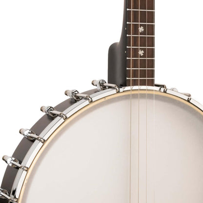 Gold Tone IT-19 Irish tenor banjo med 19 bånd og taske