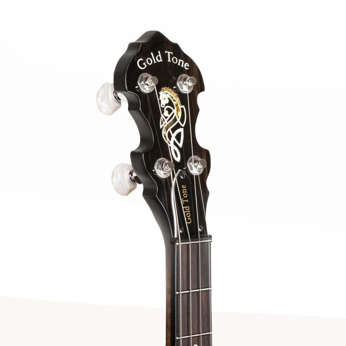 Gold Tone IT-19 Irish tenor banjo med 19 bånd og taske