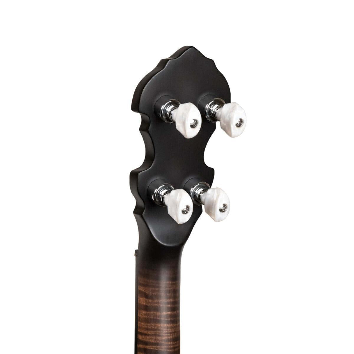 Gold Tone IT-19 Irish tenor banjo med 19 bånd og taske