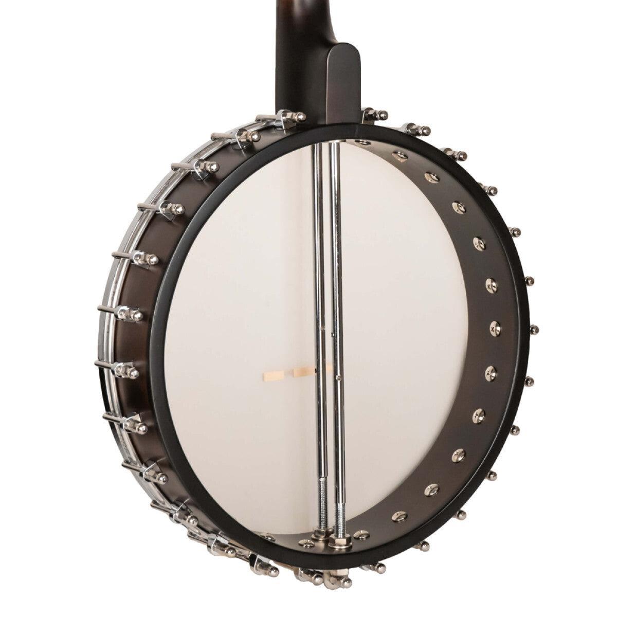 Gold Tone IT-19 Irish tenor banjo med 19 bånd og taske