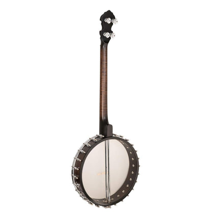 Gold Tone IT-19 Irish tenor banjo med 19 bånd og taske