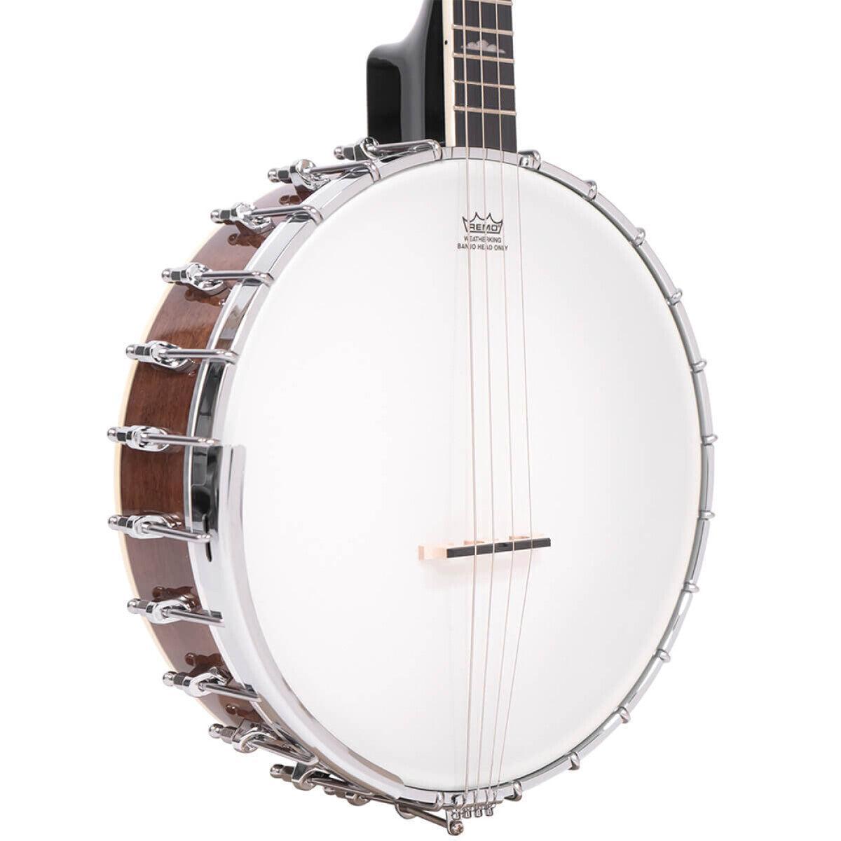 Gold Tone IT-250Irish tenor banjo m. hardcase