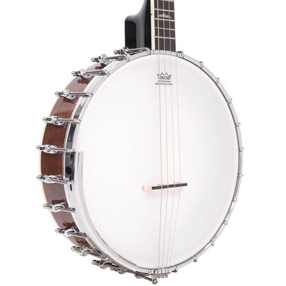 Gold Tone IT-250Irish tenor banjo m. hardcase