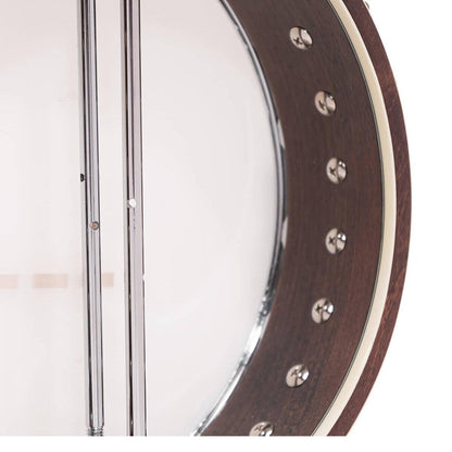 Gold Tone IT-250Irish tenor banjo m. hardcase