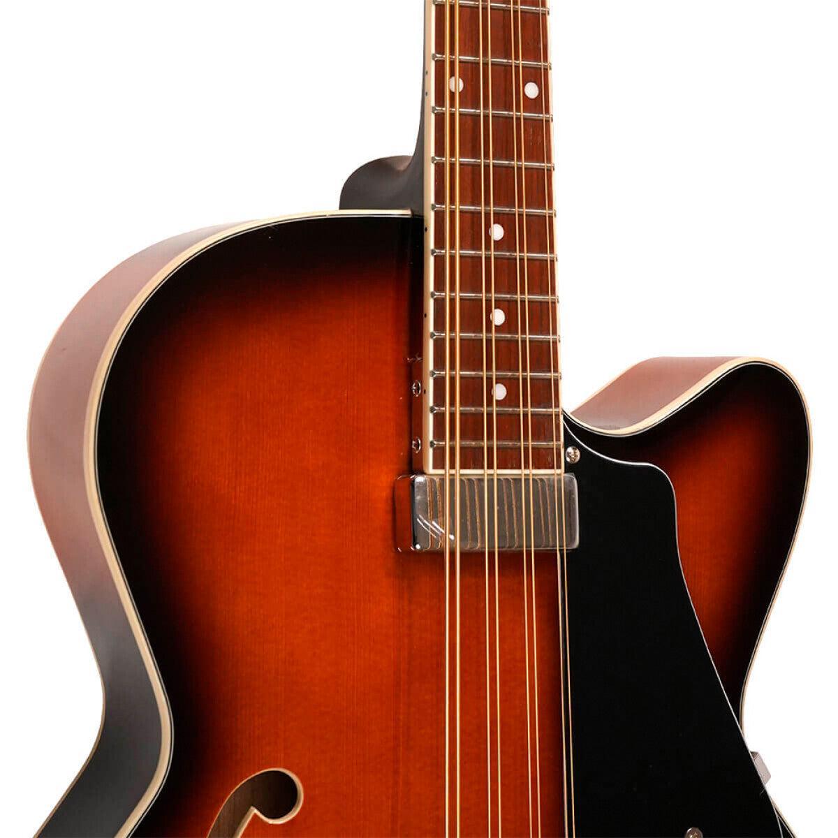 Gold Tone MANDOCELLO Mandocello Guitar with Pickup and Hard Case 