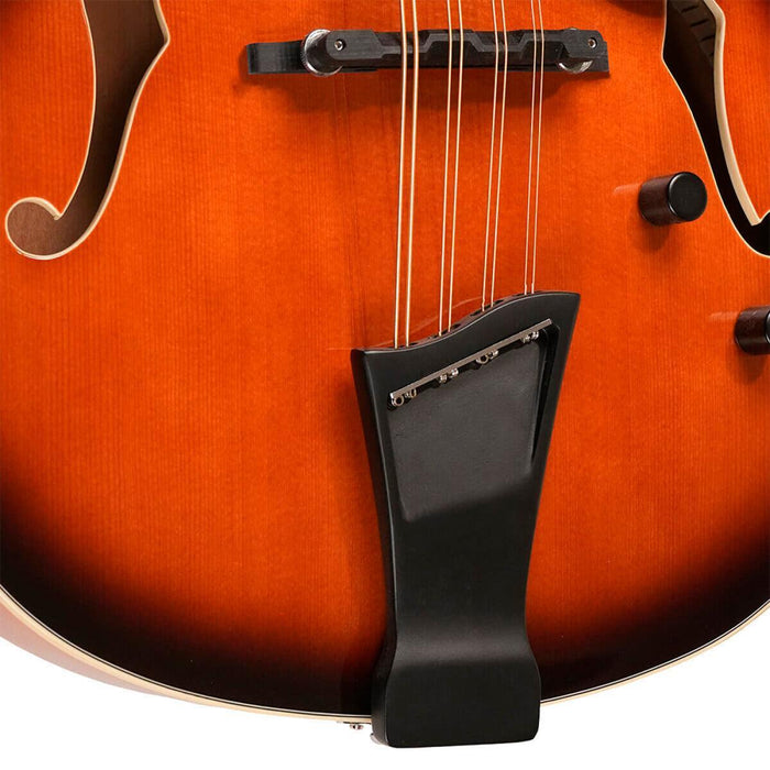 Gold Tone MANDOCELLO Mandocello Guitar med Pickup og Hard Case