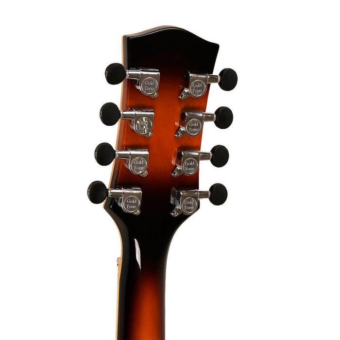 Gold Tone MANDOCELLO Mandocello Guitar med Pickup og Hard Case