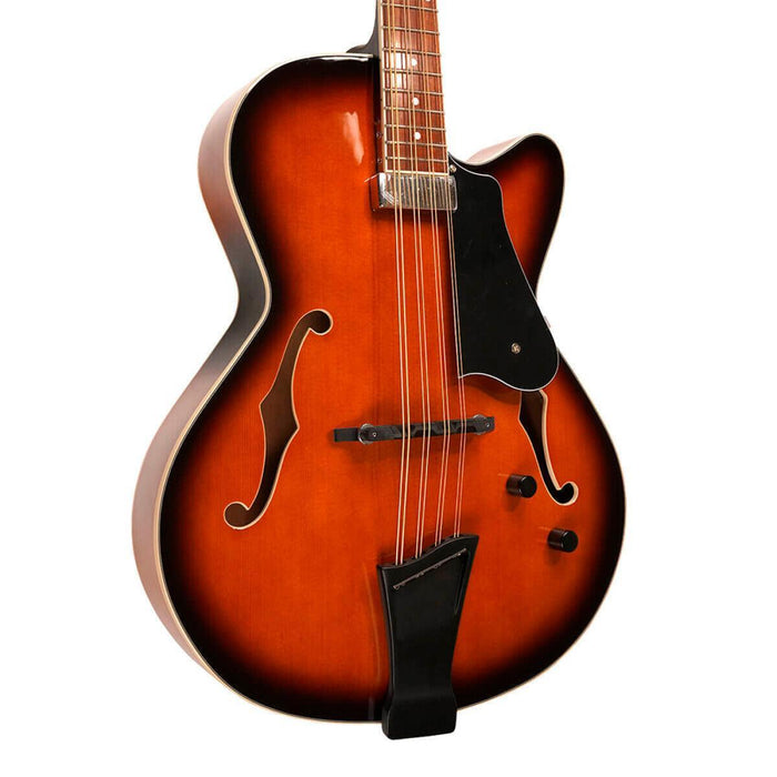 Gold Tone MANDOCELLO Mandocello Guitar med Pickup og Hard Case