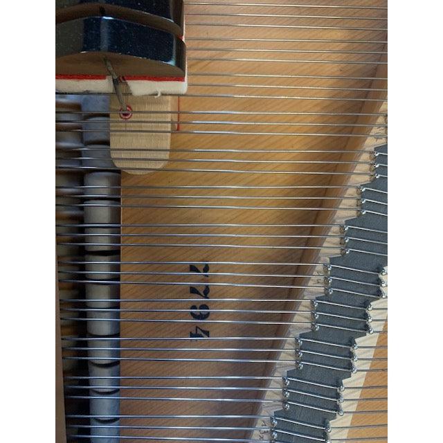 Hindsberg Grand Piano S/N 7794