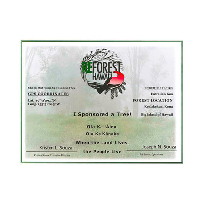 Islander PAT-BOX Traditional mahogany concert ukulele "reforest Hawai" MCB-4 + back