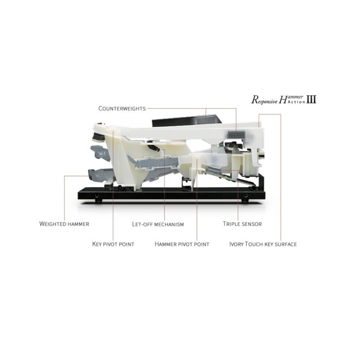 Kawai Dg 30 Digital Grand