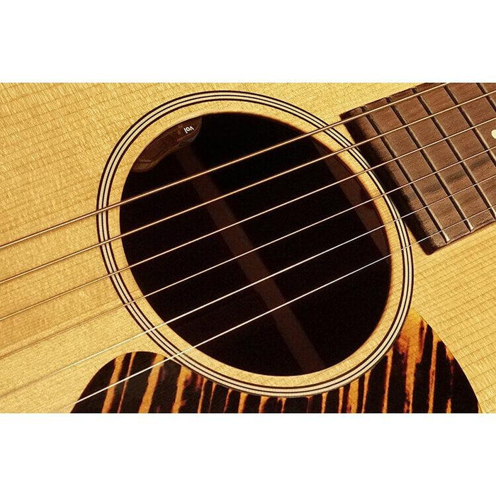 L.R.Baggs EAS-VTC Akustisk Guitar Pickup