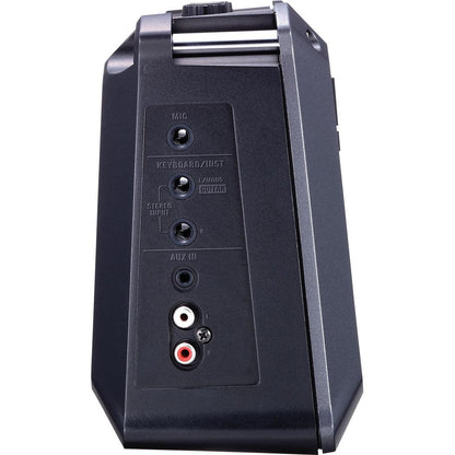 Roland Mobile Cube Battery powered stereo amplifier