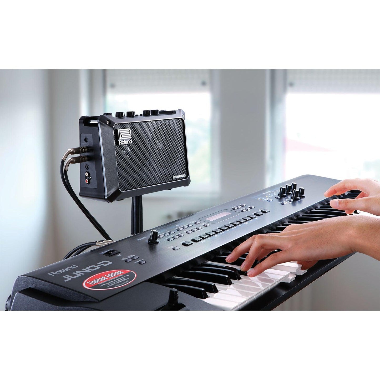 Roland Mobile Cube Battery powered stereo amplifier