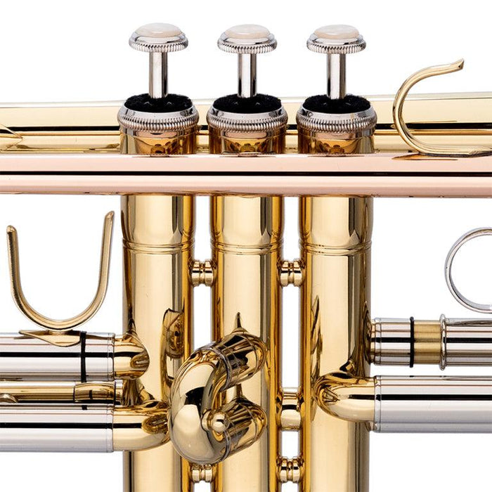 Stagg Bb Trumpet, Ml-Bore, Leadpipe In Gold Brass, With Soft Case