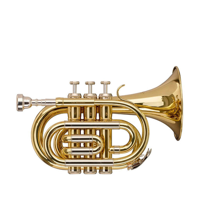 Stagg Bb lomme trompet med stort schallstykke